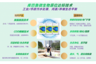 什么是氨氮激活菌，有什么作用