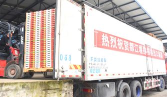 都江堰獼猴桃協(xié)會牽手物流快遞行業(yè)的 國家隊(duì)