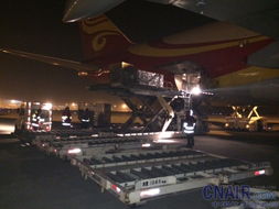 天津空港華宇航空貨運站完成環球航線首航保障任務